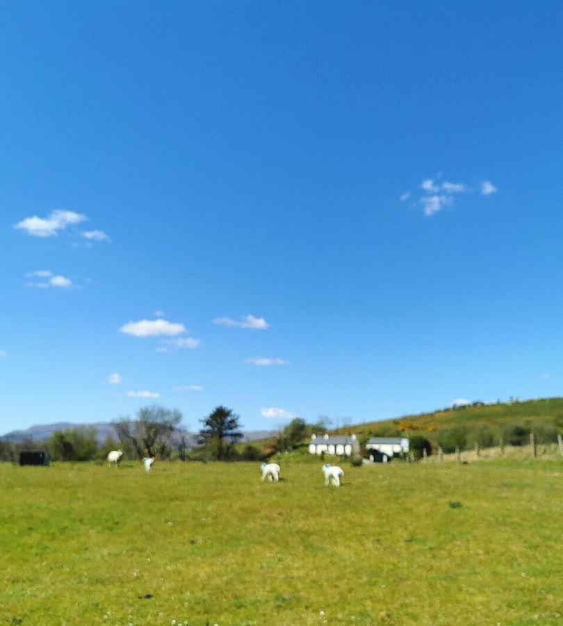 New Listing - Ladybird Cottage - Donegal - Wild Atlantic Way Донегол Экстерьер фото