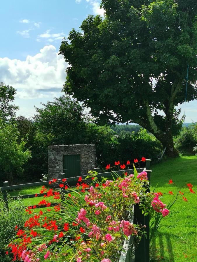 New Listing - Ladybird Cottage - Donegal - Wild Atlantic Way Донегол Экстерьер фото