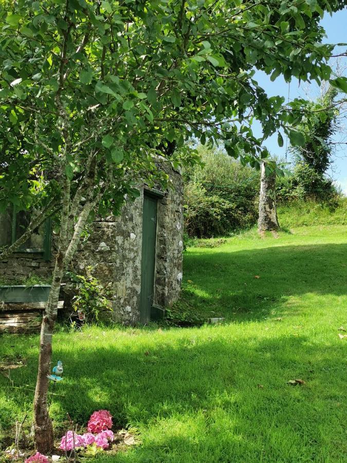 New Listing - Ladybird Cottage - Donegal - Wild Atlantic Way Донегол Экстерьер фото